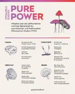Vitalpilz Kakao Pure Power Infografik