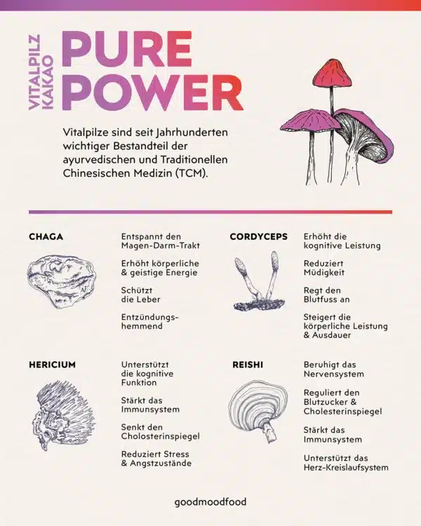 Vitalpilz Kakao Pure Power Infografik