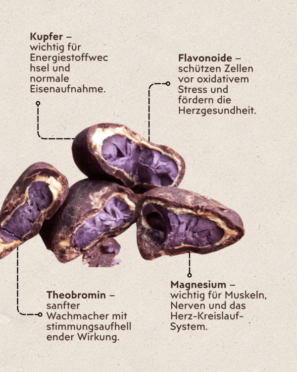 Infografik Queen Beans