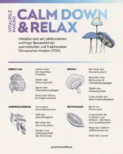 Vitalpilz Kakao Calm Down & Relax Infografik