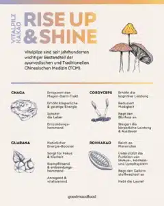 Vitalpilz Kakao Rise Up & Shine Infografik