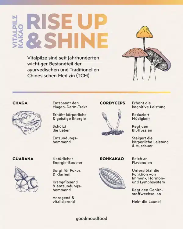 Vitalpilz Kakao Rise Up & Shine Infografik