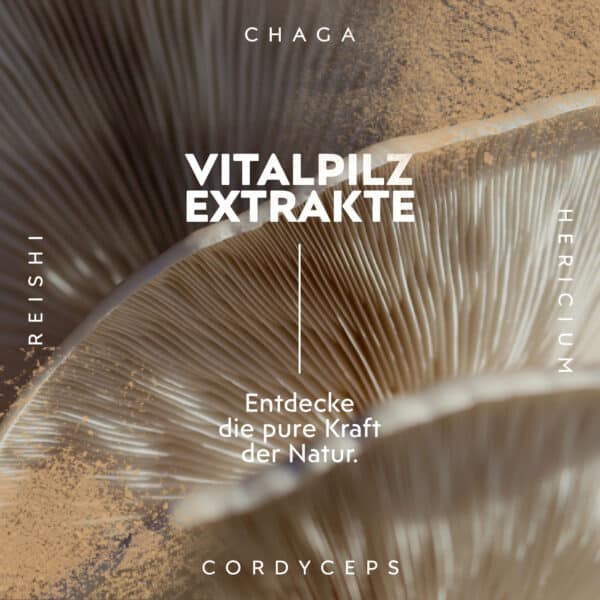 Vitalpilz Extrakte