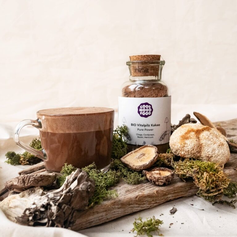 BIO Vitalpilz Kakao für Morgenroutine
