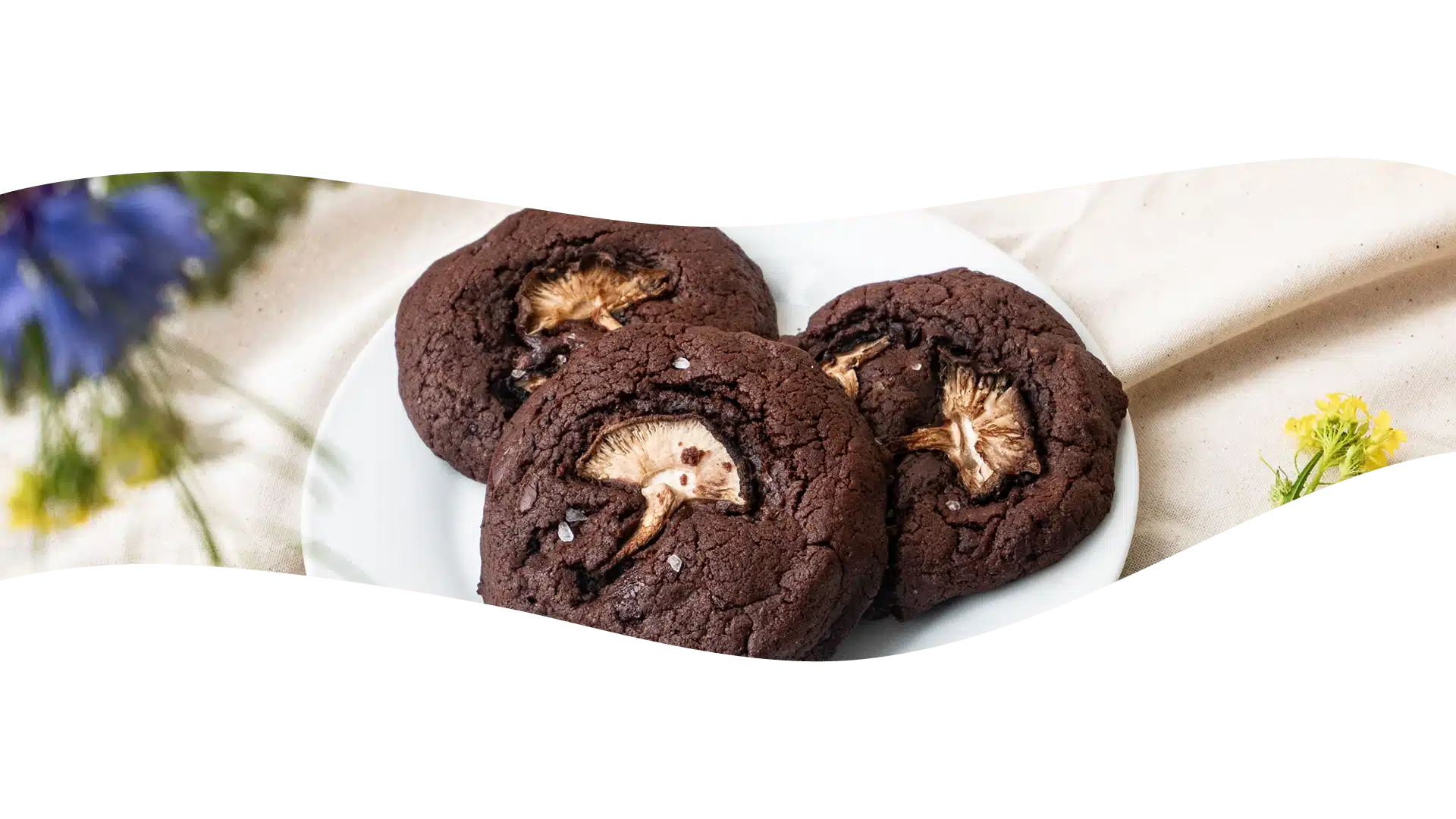 Rezept Vitalpilz Cookies