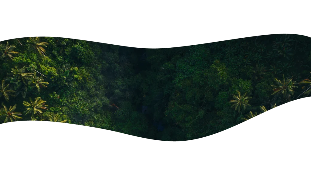 Landschaft Indonesien