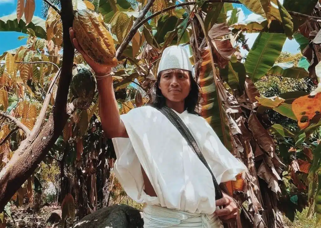 Tayrona Kolumbien Kakaowald | Rohkakao kaufen