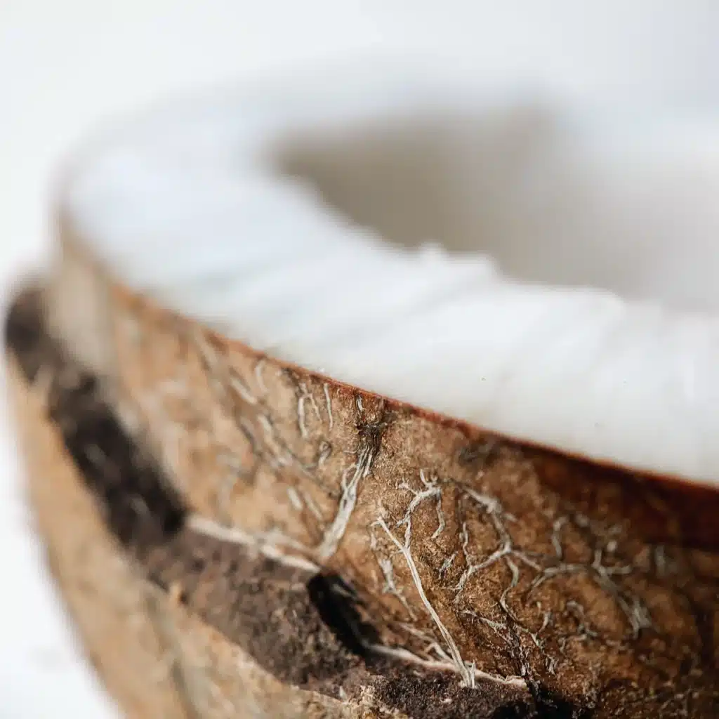 Kategoriebild Kokos Produkte