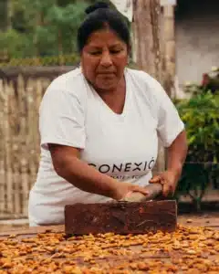 Conexion