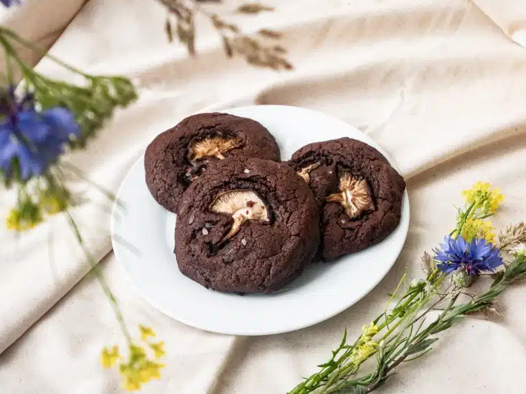 Vitalpilz Kakao Kekse Rezept