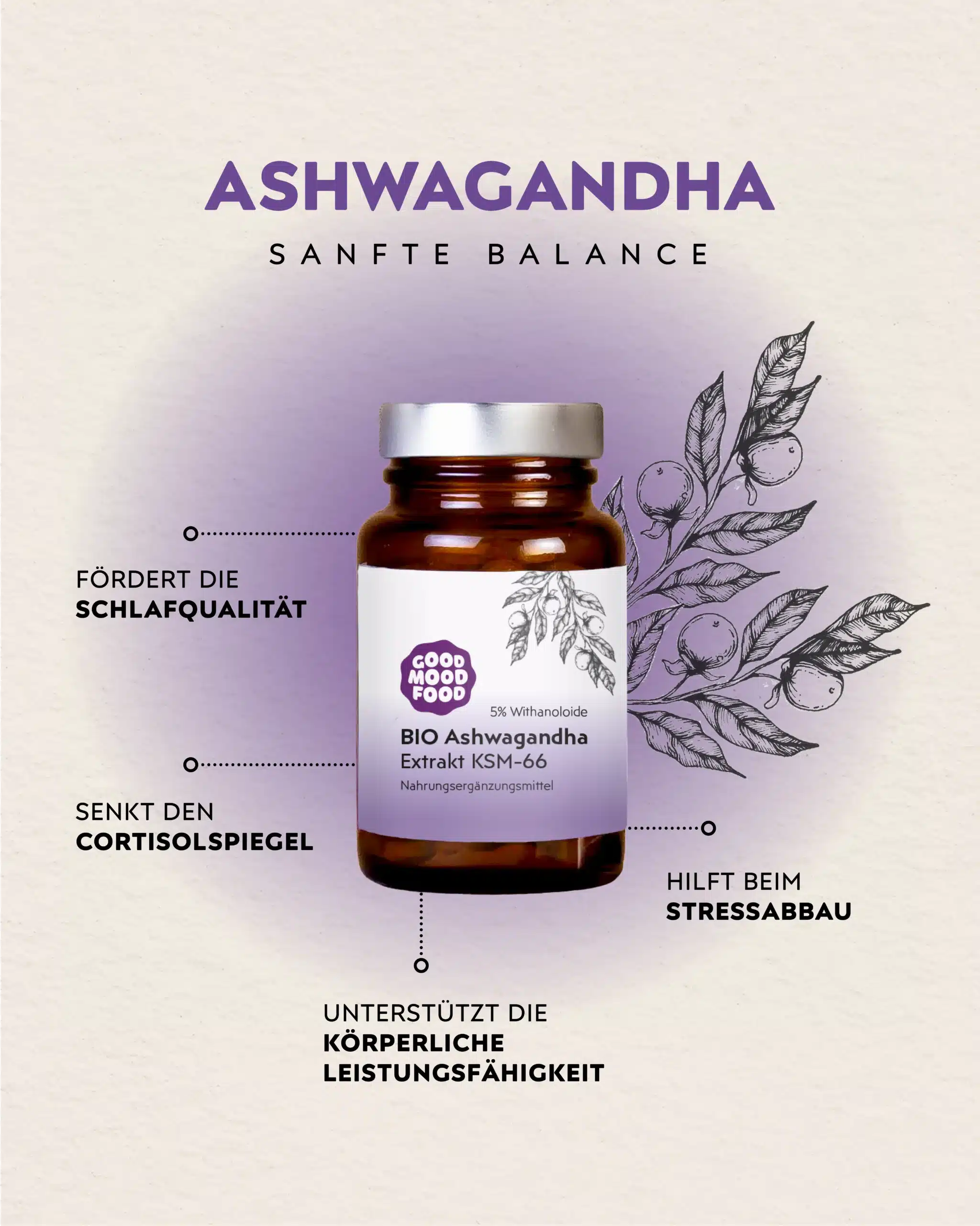 Infografik Ashwagandha