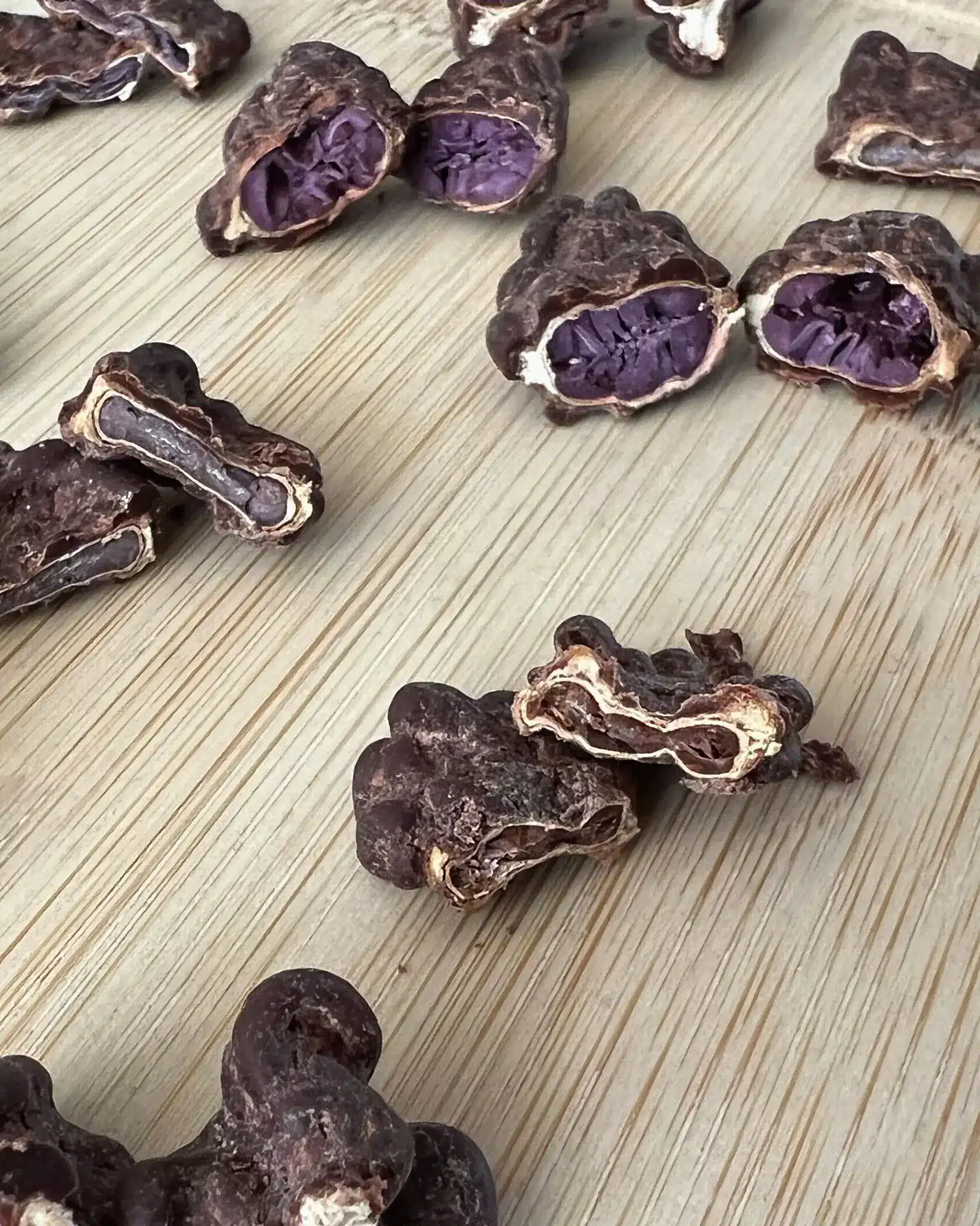 Querschnitt Brombeer Queen Beans