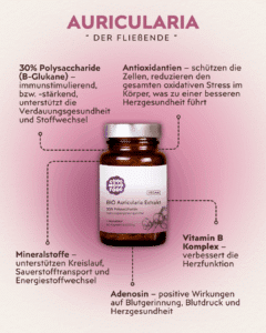 Auricularia Vitalpilz Infografik