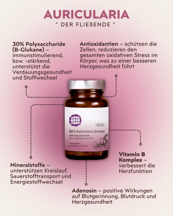 Auricularia Vitalpilz Infografik