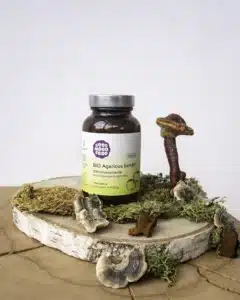 Agaricus Moodbild