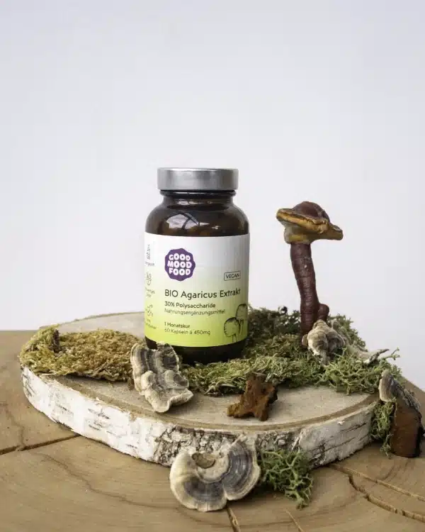 Agaricus Moodbild
