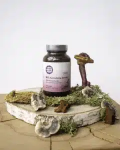 Auricularia Moodbild