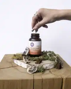 Reishi Extrakt Kapseln