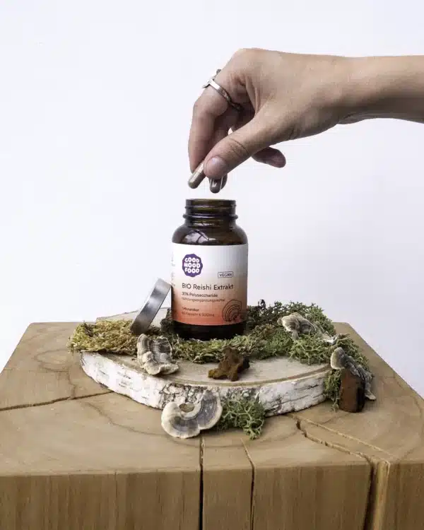 Reishi Extrakt Kapseln