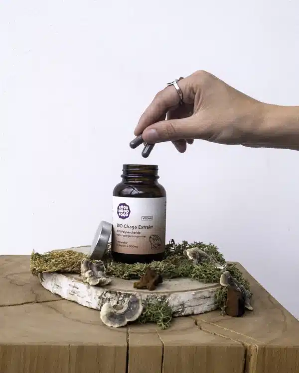Chaga Extrakt Kapseln