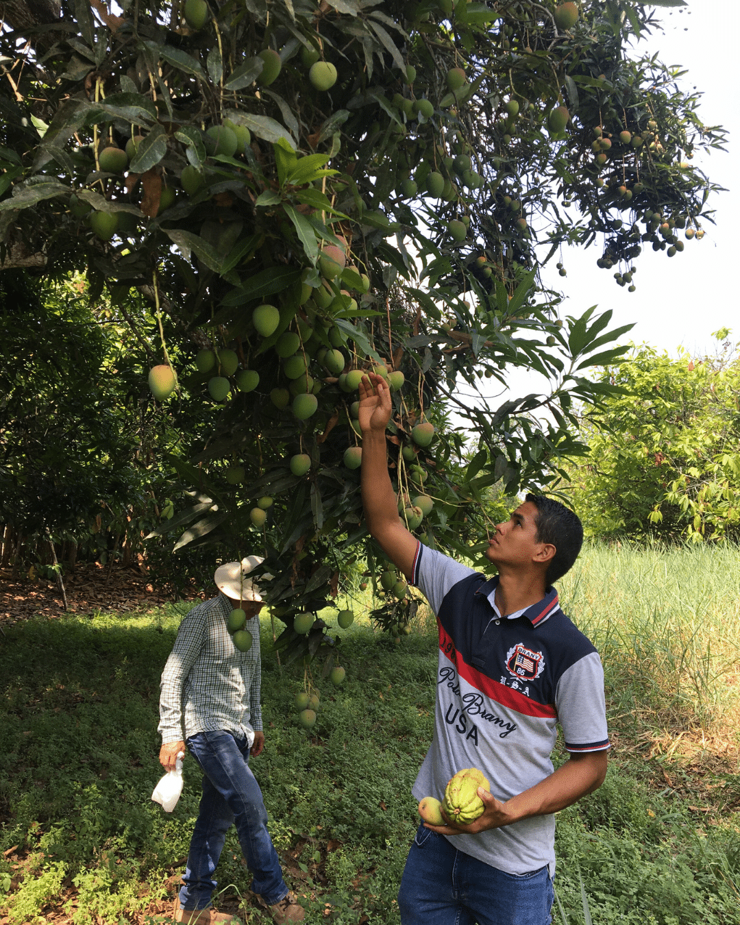 Produzentinnen Ecuador Conexión 1