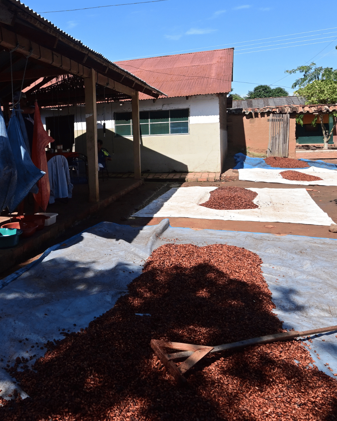 Kakao Produzentinnen Bolivien Baure 3