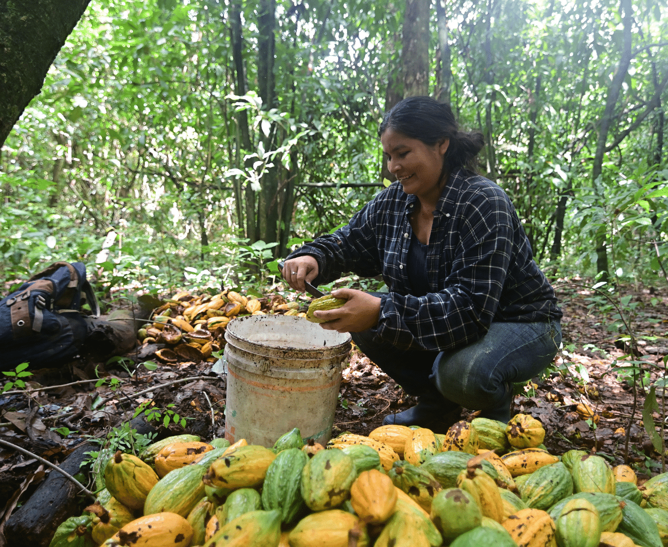 Kakao Produzentinnen Bolivien Baure 1
