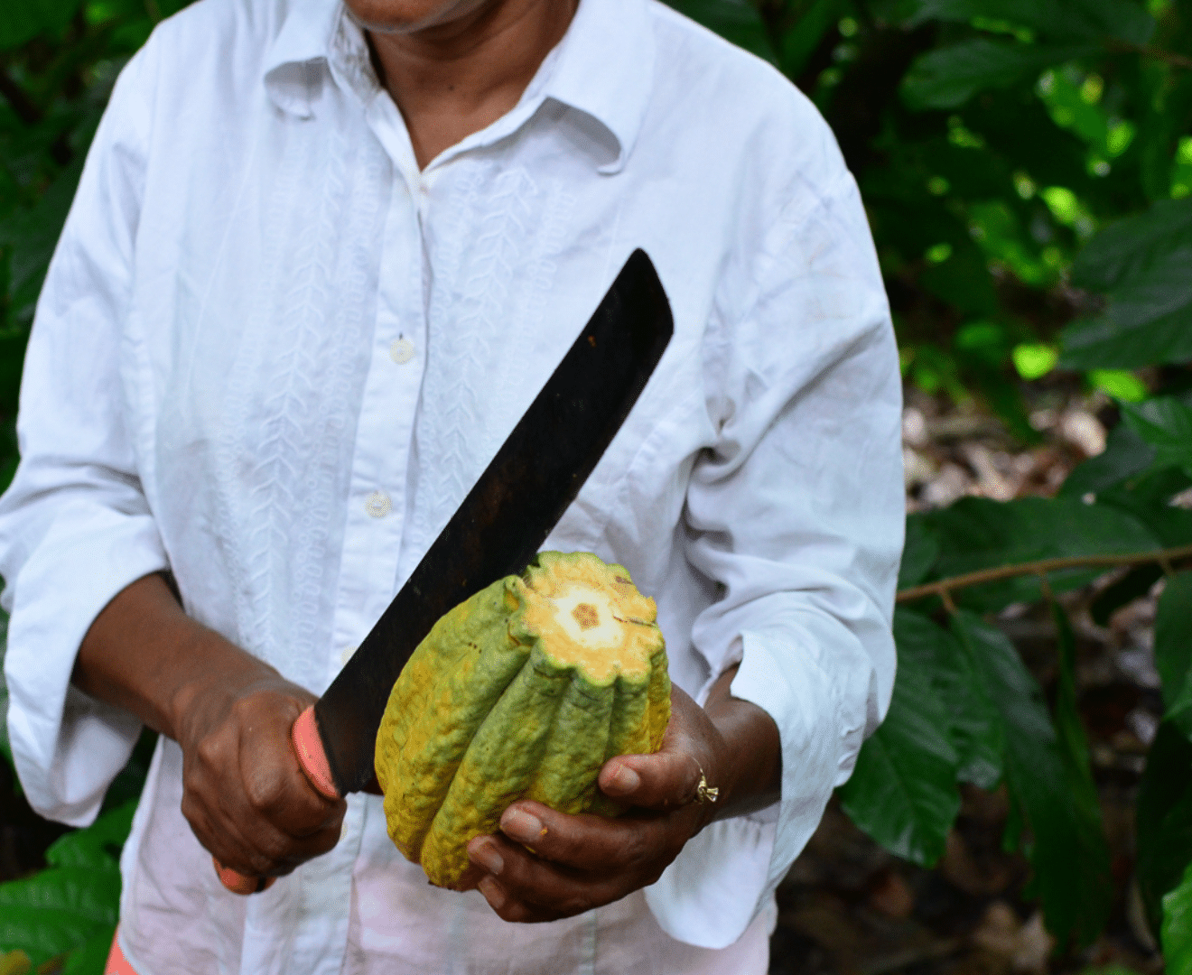 Produzentinnen Ecuador Conexión 3