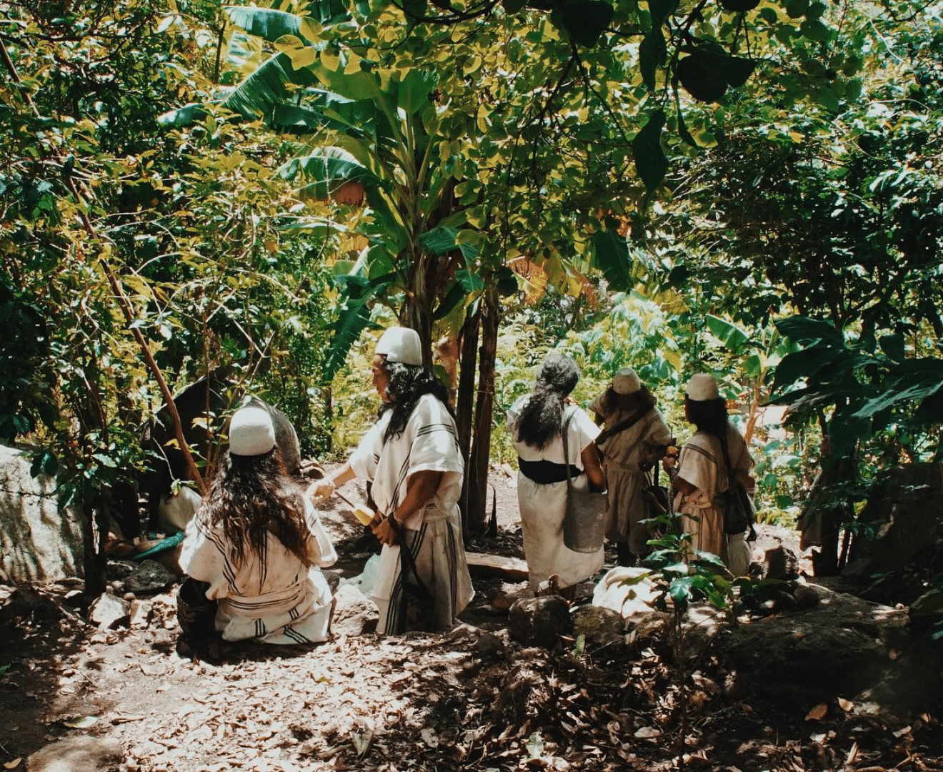 Tayronas im Wald Jaguar Siembra