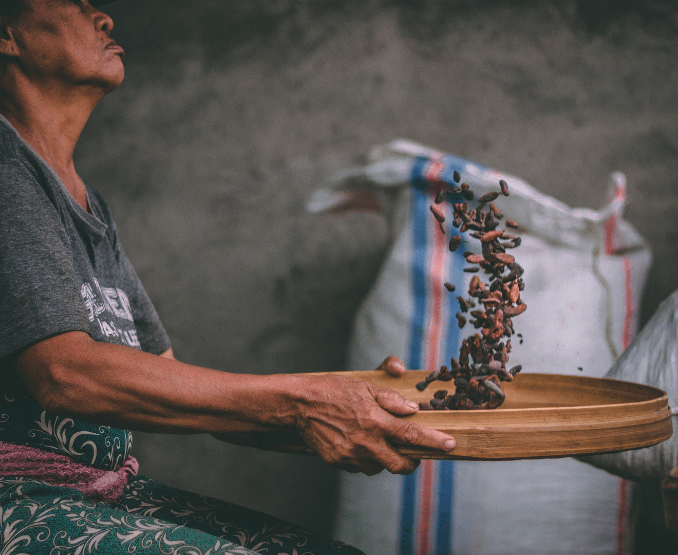 Bali Indonesien Kakao Produzentin