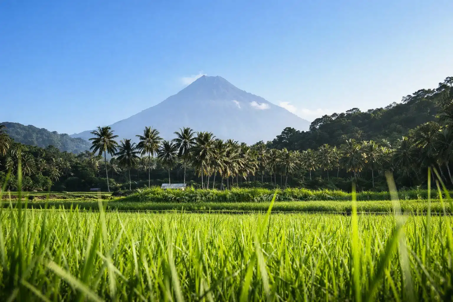 Landschaft Bali&Flores IKAT