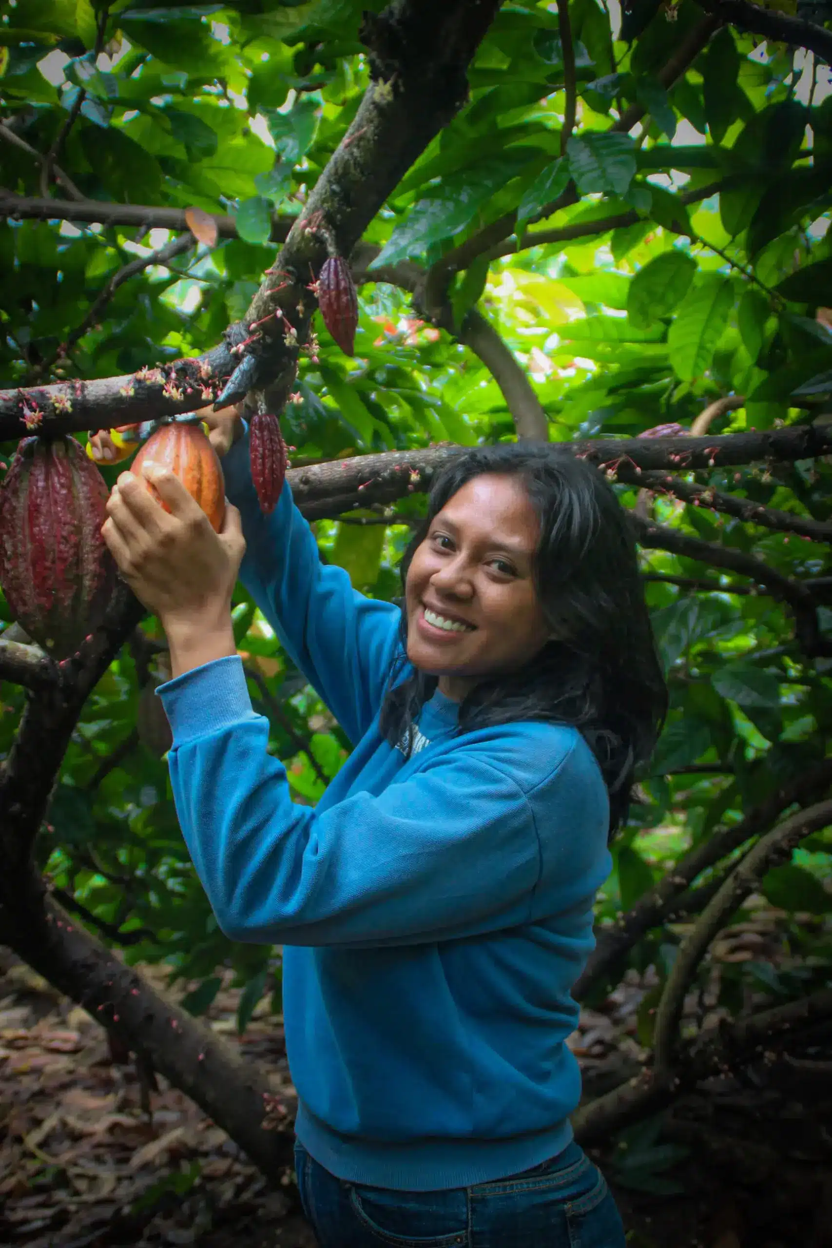 Farmer Harvest IKAT Nali & Flores